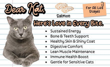 Dear Kat Dry Cat Food for all life Stages Salmon and Tuna Flavor 20Kg