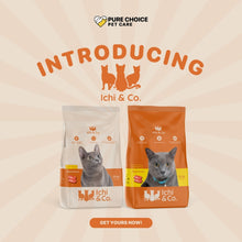 Ichi &amp; Co Cat Cat Food Salmon 20kg image 0